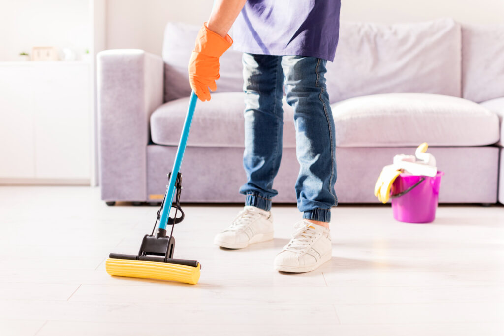 House Cleaning Services